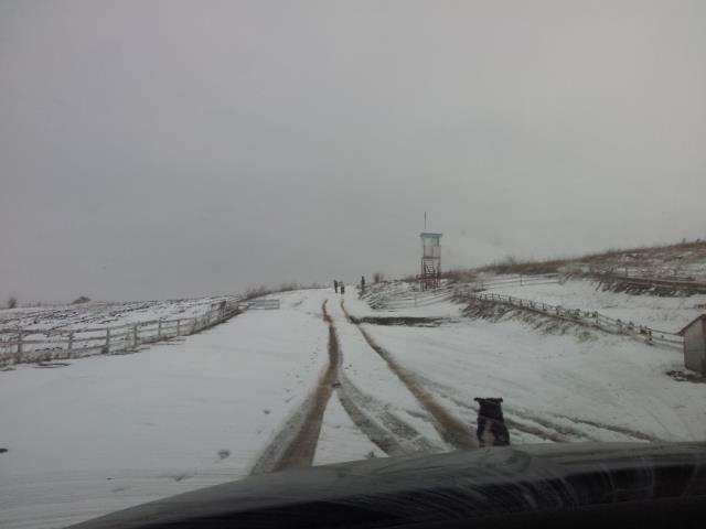 Magura 9 8 februarie 2015 - 20150208152705.jpg